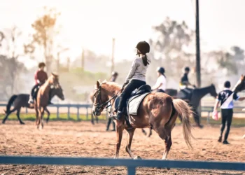 Horse Riding QATAR