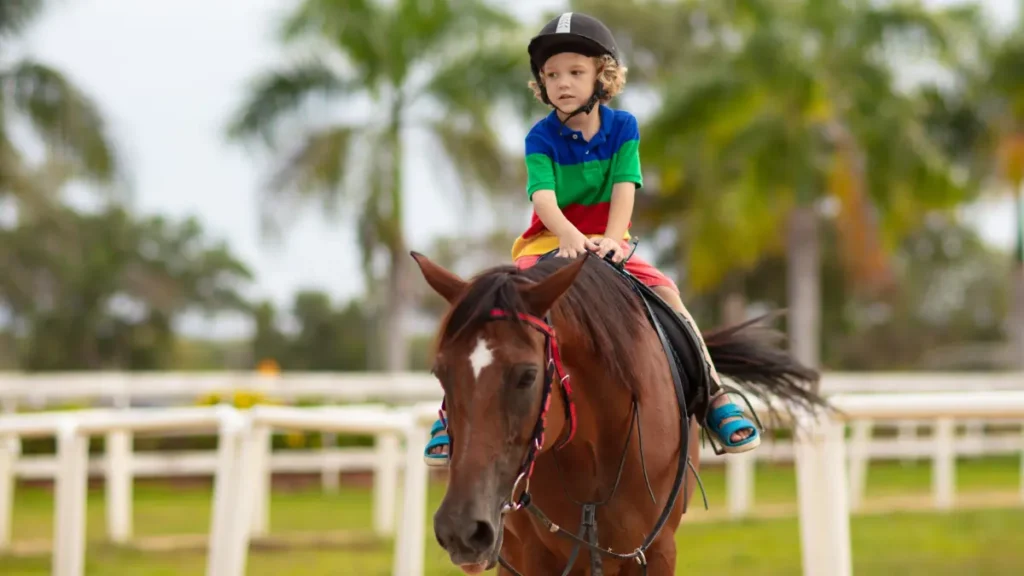 oasis stables qatar