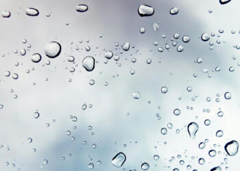 Expected Rain and Strong Winds on Thursday, November 28th