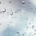 Expected Rain and Strong Winds on Thursday, November 28th