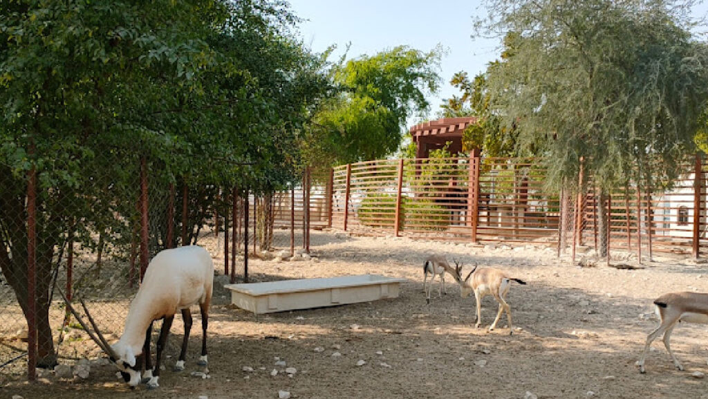 Desert Park Al Shahaniya