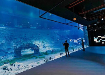 Free Aquarium Qatar