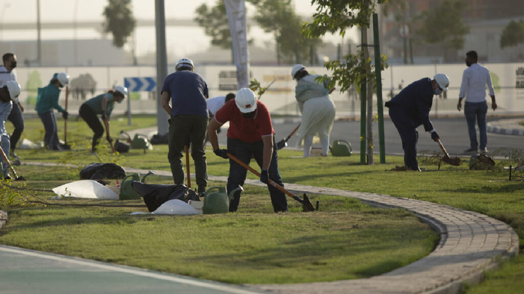 Most nationalities planting trees simultaneously