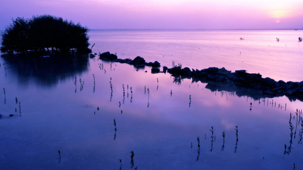 Purple Island