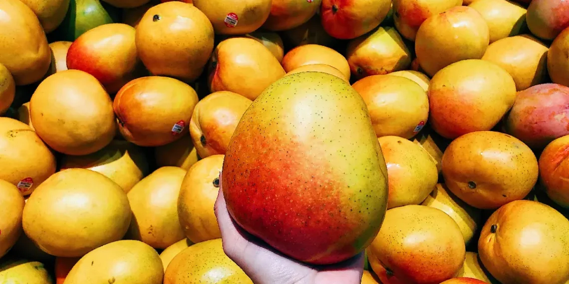 First Bangladeshi Mango Festival in Qatar