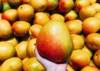 First Bangladeshi Mango Festival in Qatar