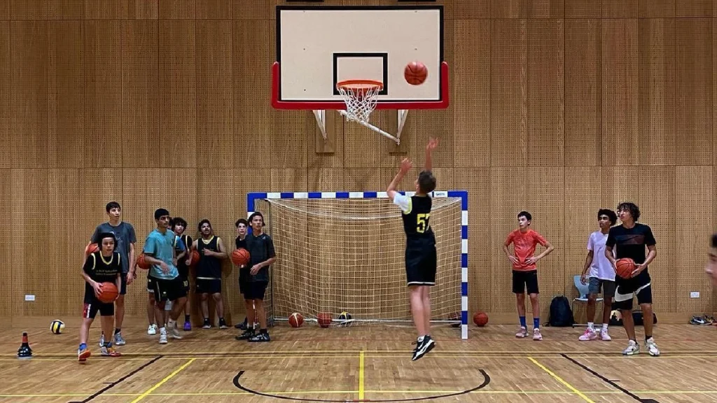Hoops basketball