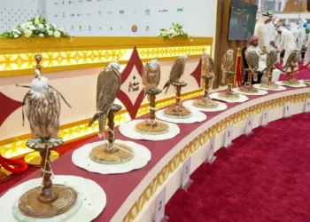 S’hail – Katara International Hunting & Falcons Exhibition 2025