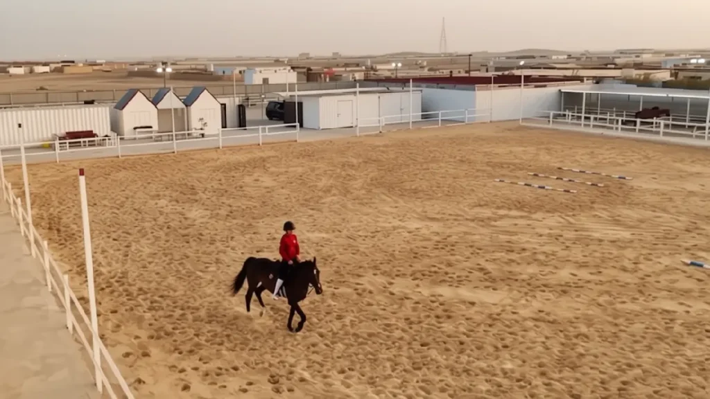 Al Sahel Stud