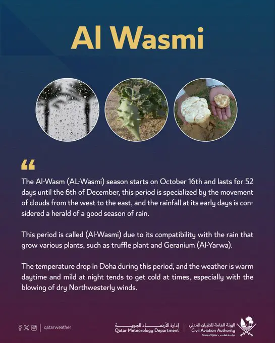 Wasmi English