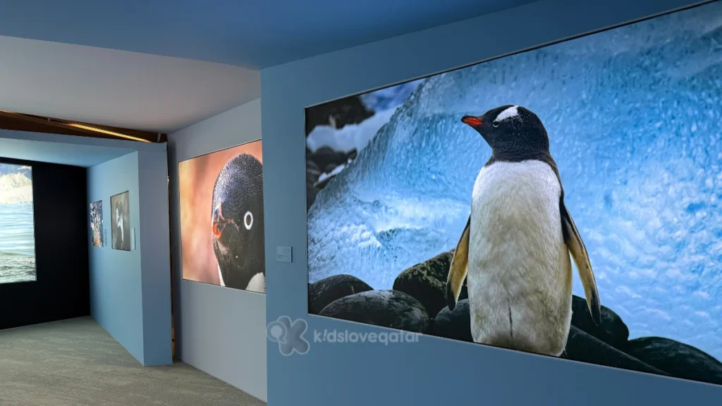 Antarctica Exhibition at Qatar National Library