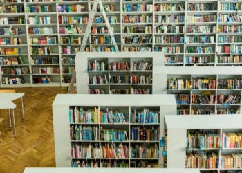 Public Libraries in Qatar – Explore Reading, Research, and Family Activities