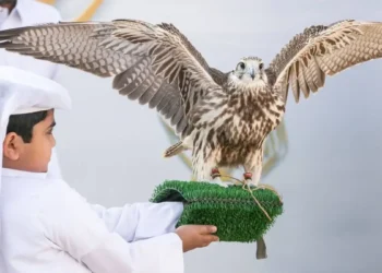 Qatari Society of Al Gannas Unveils Exciting Lineup for 2025–2026 Season