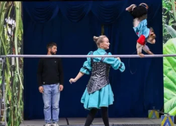 WEG Latest Dec 14 – 20 Part 2