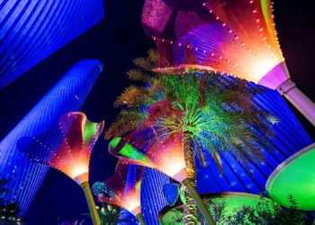 Qatar Tourism Announces Dynamic January Line-Up of Heritage, Sport and Live Entertainment