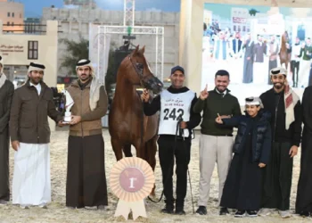 Souq Waqif Equestrian Festival