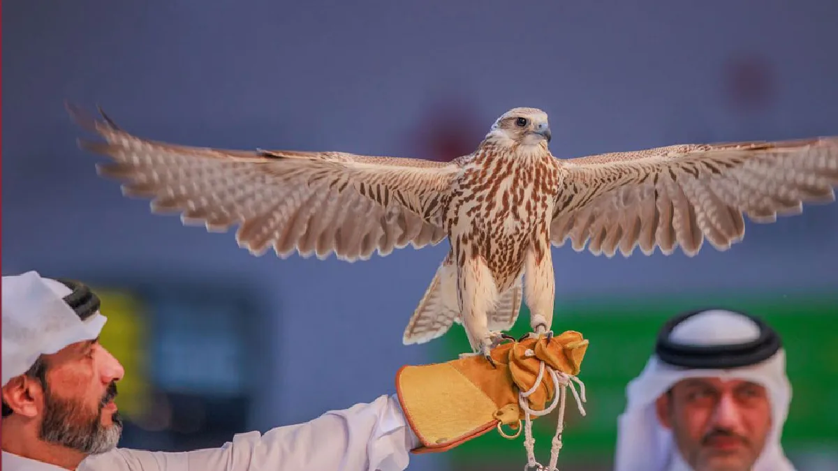 S’hail 2026 Katara International Hunting and Falconry Exhibition in Doha
