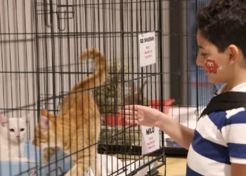 Every Paw Deserves a Home: Mall of Qatar Hosts Animal Welfare Initiative